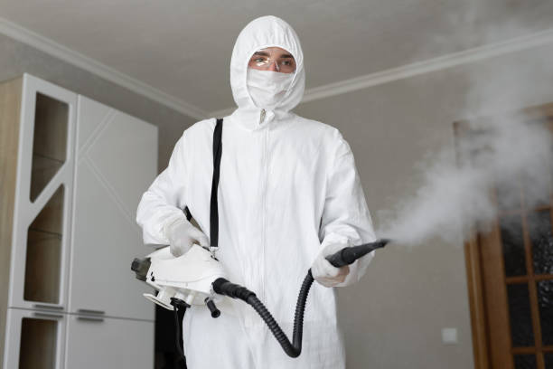 Best Attic Mold Removal  in USA